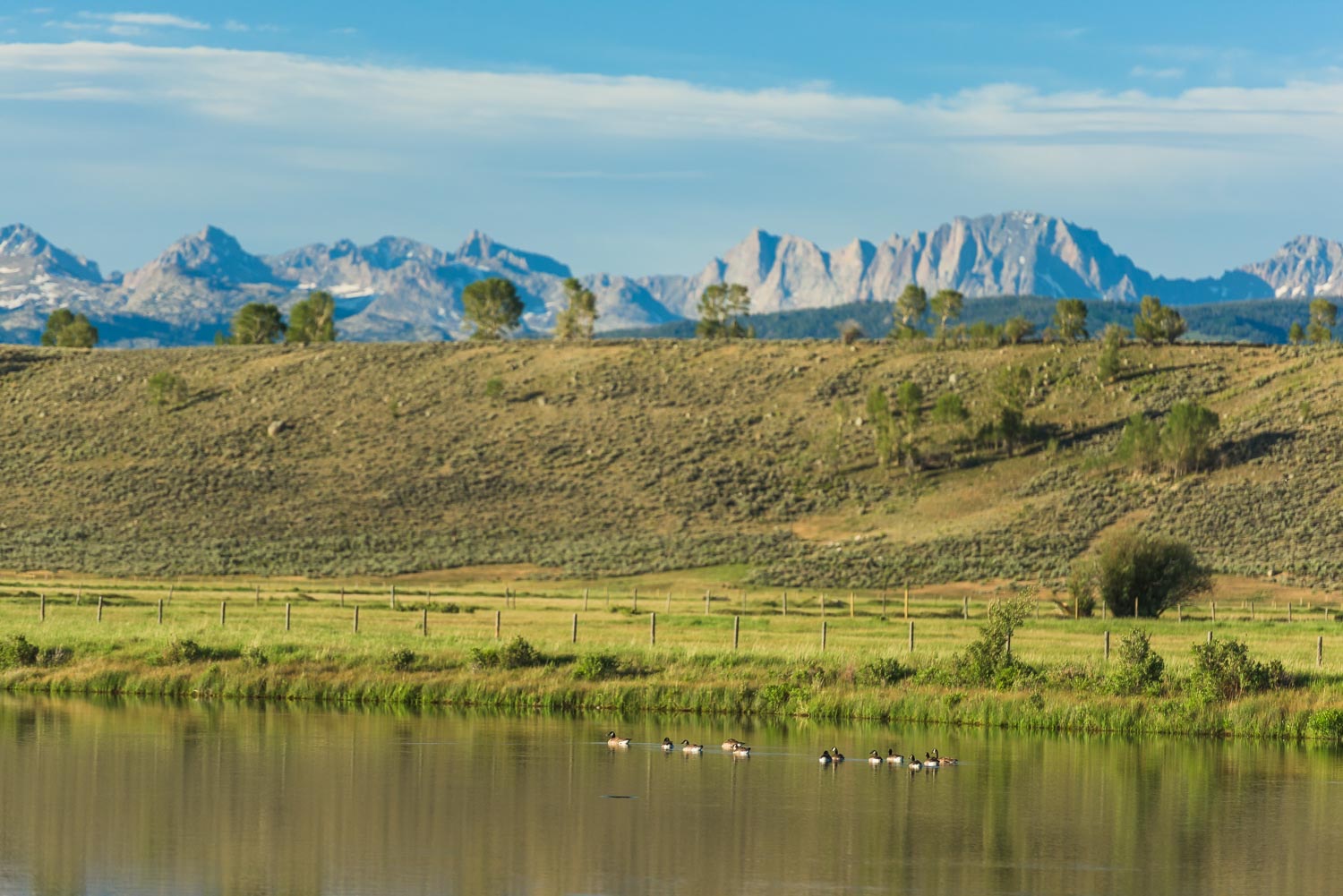 The pond and waterfowl beneath the Wind River peaks at golden hour