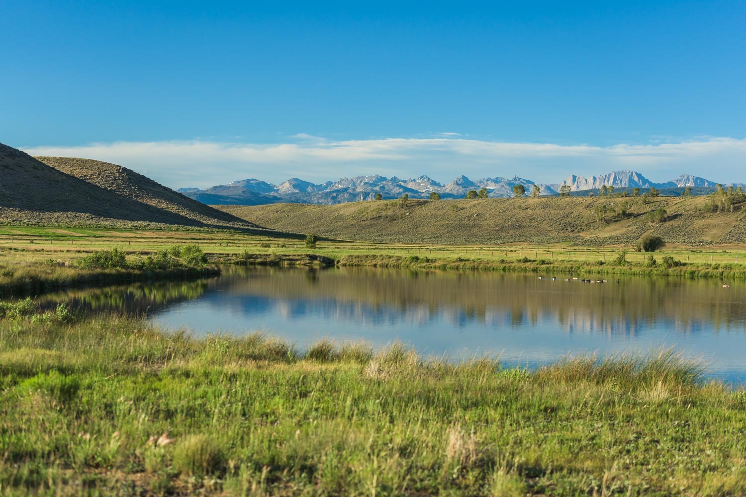 Still pond reflecting the sky with the Wind River Range in the distance