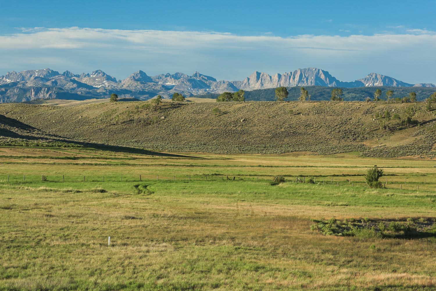 Meadow foreground framing the Wind River Range