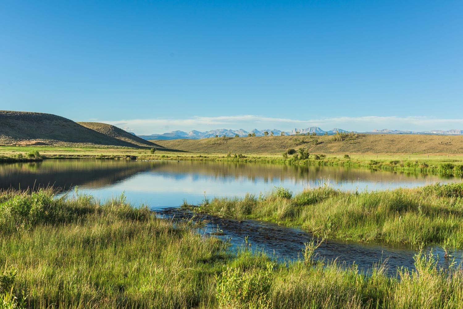 Pond and creek winding through the meadow toward the mountains